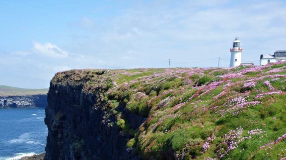 Loop Head Walking Tours 1